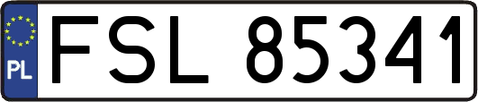 FSL85341