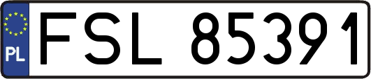 FSL85391
