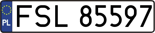 FSL85597