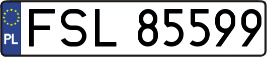 FSL85599
