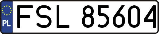 FSL85604