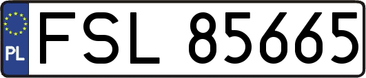 FSL85665
