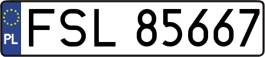 FSL85667