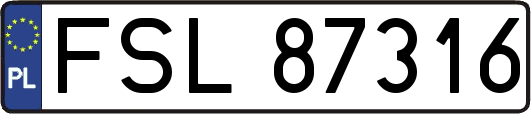 FSL87316