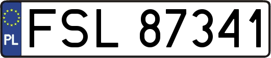 FSL87341