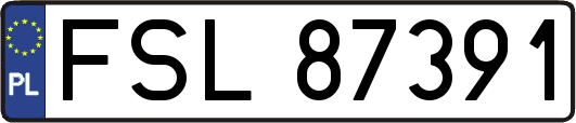 FSL87391