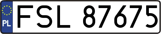 FSL87675