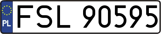 FSL90595