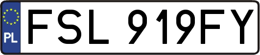 FSL919FY