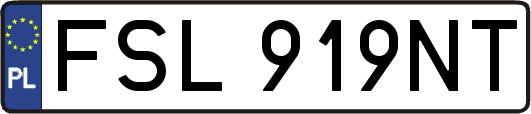 FSL919NT
