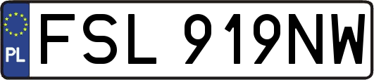 FSL919NW