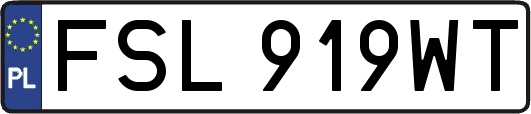 FSL919WT