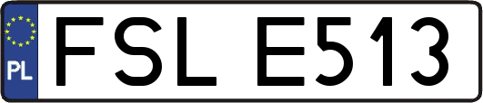 FSLE513