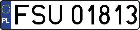 FSU01813
