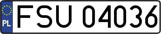 FSU04036