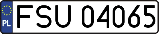 FSU04065
