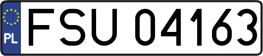 FSU04163