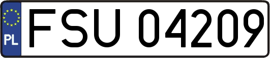 FSU04209