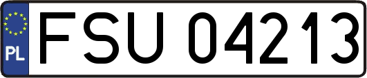 FSU04213