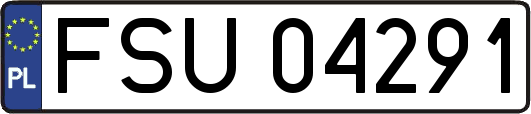 FSU04291