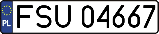 FSU04667