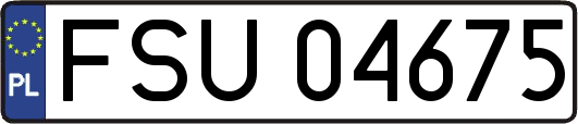 FSU04675