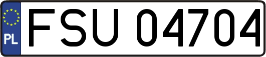 FSU04704