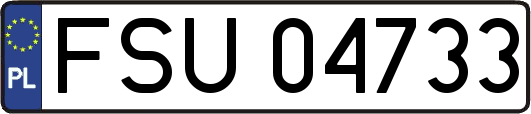 FSU04733