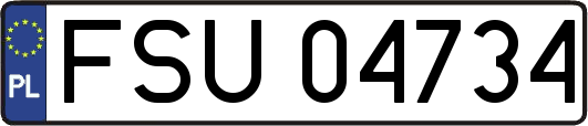 FSU04734