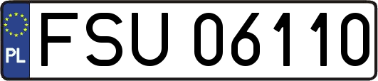 FSU06110