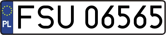 FSU06565