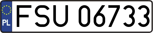 FSU06733