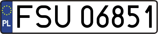 FSU06851