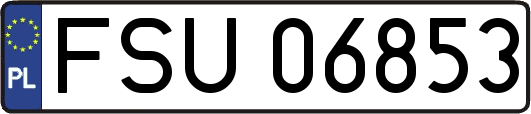 FSU06853