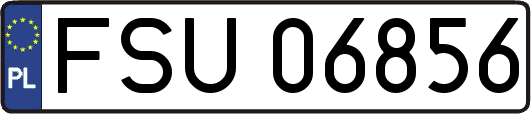FSU06856