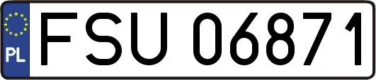 FSU06871