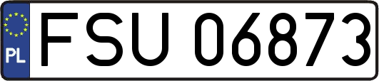 FSU06873