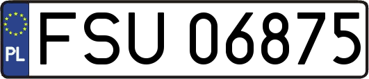 FSU06875