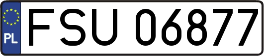 FSU06877