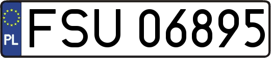 FSU06895