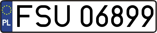 FSU06899