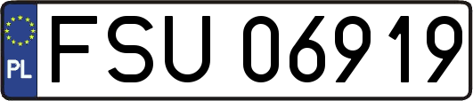 FSU06919