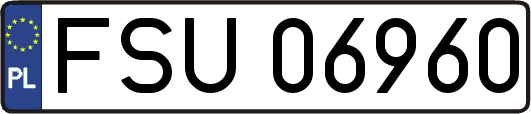 FSU06960