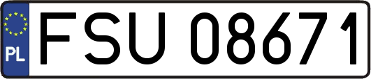 FSU08671