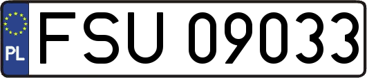 FSU09033