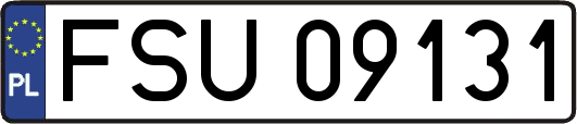 FSU09131