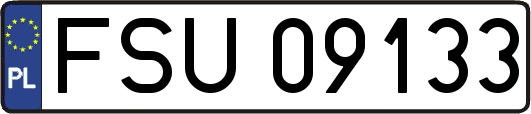 FSU09133