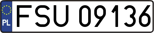 FSU09136