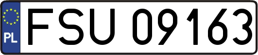 FSU09163