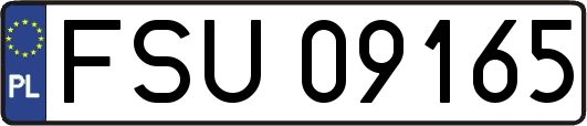 FSU09165